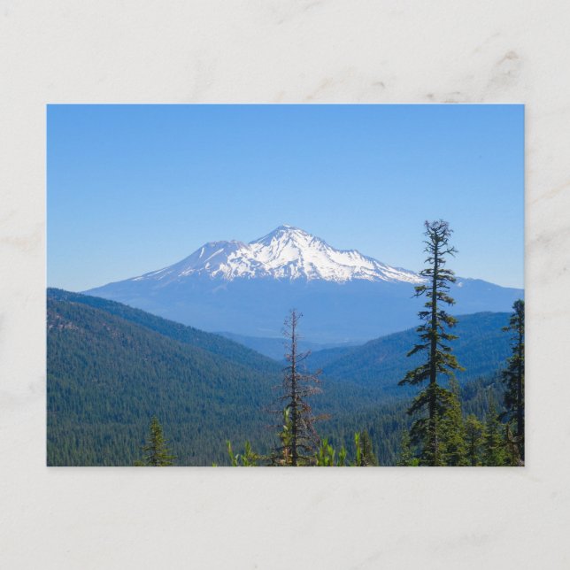 Carte Postale Purple Mountain Majesty (Mont Shasta, Californie) (Devant)