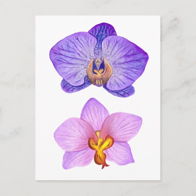 Carte Postale Purple Orchidées Aquarelle (Devant)