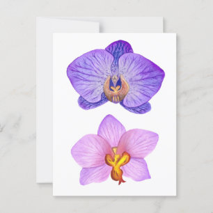 Carte Postale Purple Orchidées Aquarelle