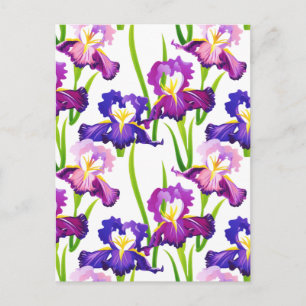 Carte Postale Purple Rustique Pré Iris Fleurs Aquarelle