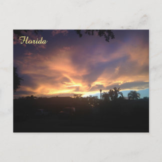 Carte Postale Purple Sky Sunset