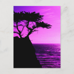 Carte Postale Purple Sunset Beach Tree Ocean Peace Love Destiny
