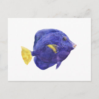 Carte Postale Purple Tang Fish Watercolor Illustration