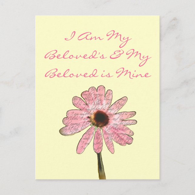 Carte Postale purpleconefloweraimé3 (Devant)