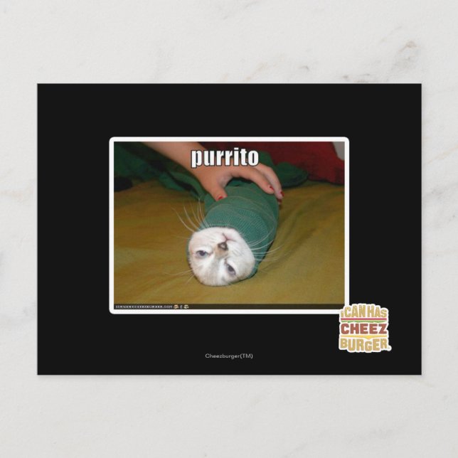 Carte Postale purrito (Devant)