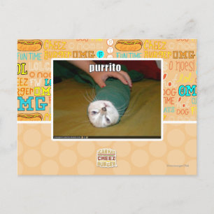 Carte Postale purrito