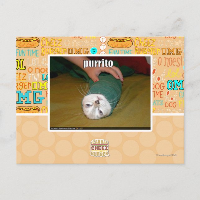 Carte Postale purrito (Devant)