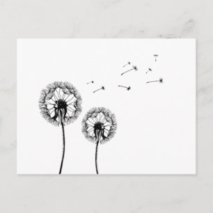 Carte Postale Pusteblume