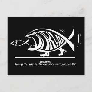 Carte Postale Putting the Win in Darwin (par sethness@deviantart