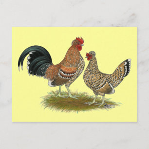 Carte Postale Pyncheon Bantams