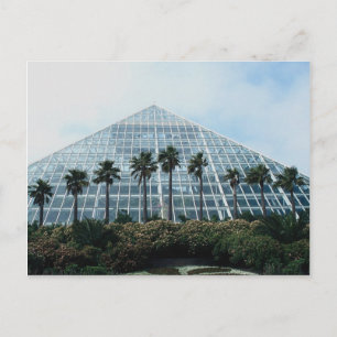 Carte Postale Pyramide de la forêt tropicale, sud du Texas, État