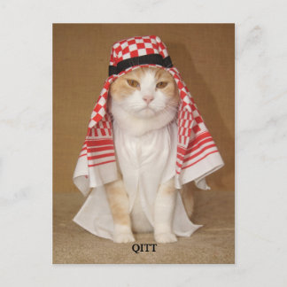 Carte Postale QITT / Chat