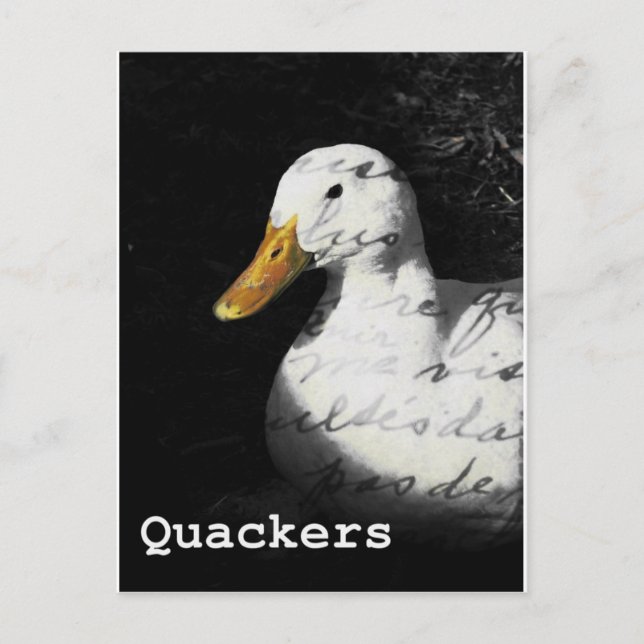 Carte Postale Quackers (Devant)