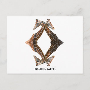 CARTE POSTALE QUADGIRAFFEL
