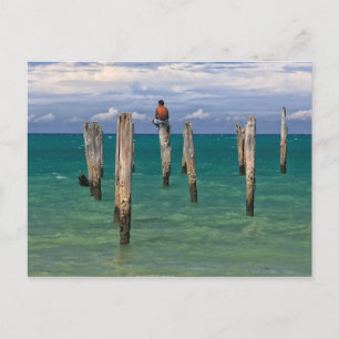 Carte Postale Quai De La Plage De Coqueiros À Trancoso