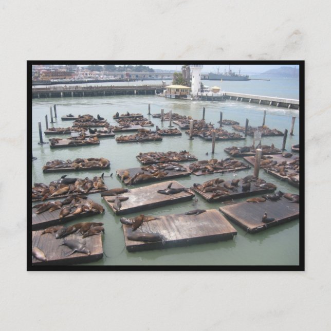 Carte Postale quai des pêcheurs (Devant)