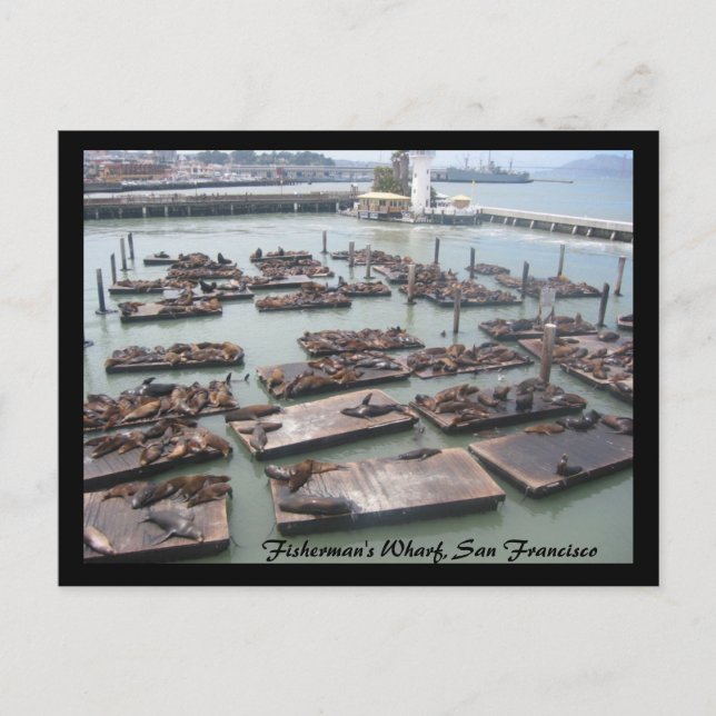 Carte Postale quai des pêcheurs (Devant)