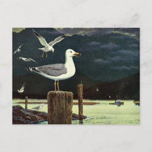 Carte Postale Quai Perché de Mouette vintage, Oiseaux marins Ani