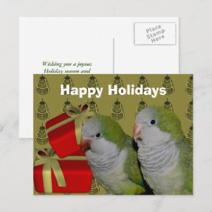 Carte postale Quaker Parrot Christmas Holiday