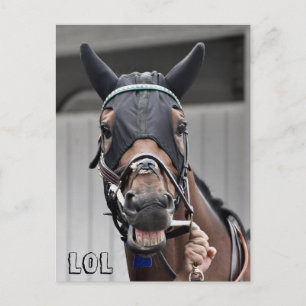 Carte Postale Qualité du ressort