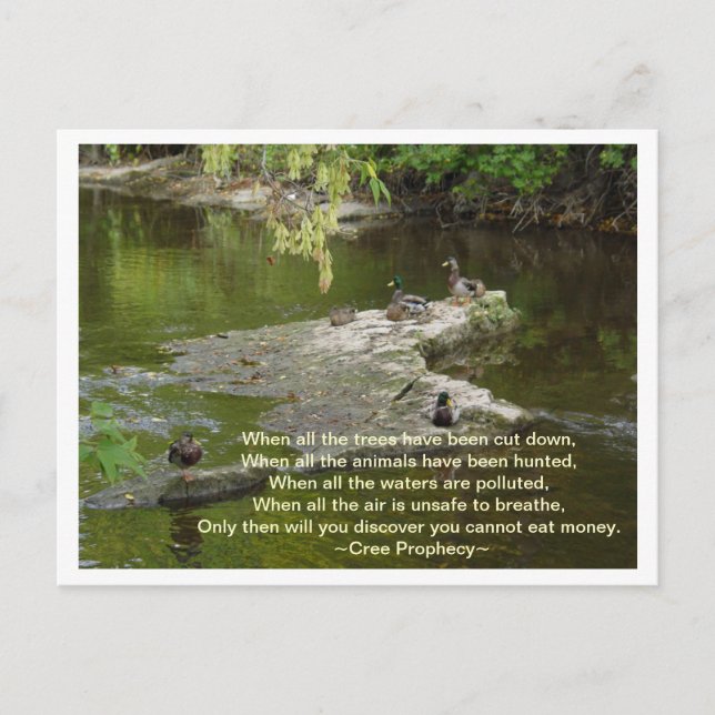 Carte Postale Quand (Devant)