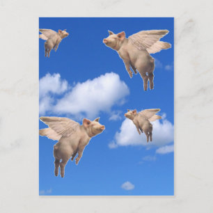 Carte Postale Quand les porcs volent