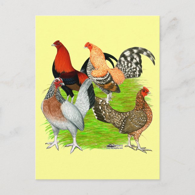 Carte Postale Quartet à l'anglais (Devant)