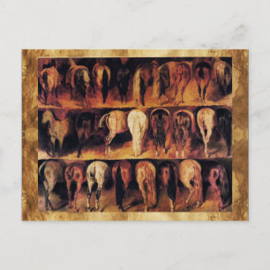 Carte Postale Quartier arrière des chevaux