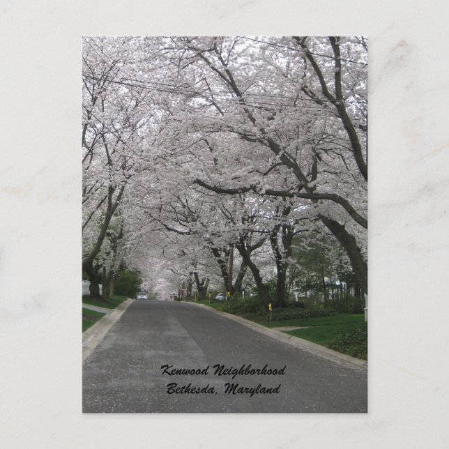 Carte Postale Quartier de Kenwood, Bethesda, Maryland (Devant)
