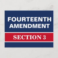 Quatorzième amendement Article 3 Constitution