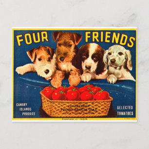 Carte Postale Quatre amis Chiens Étiquettes Vintages de tomates