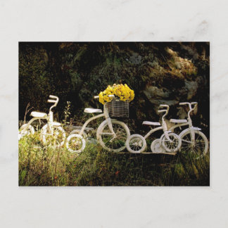 Carte Postale Quatre balades blanches