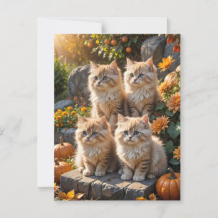 Carte Postale Quatre chatons d'automne en feuillu avec Citrouill