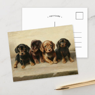 Carte Postale Quatre Chipons Dachshund   Carl Reichert