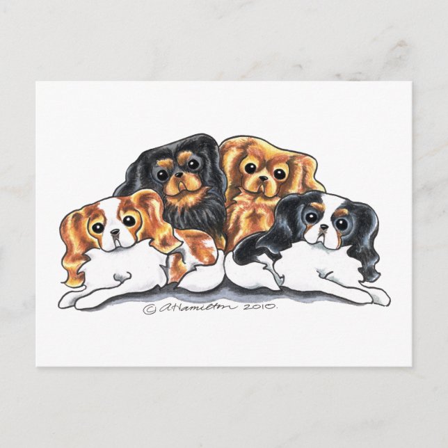 Carte Postale Quatre CKCS (Devant)