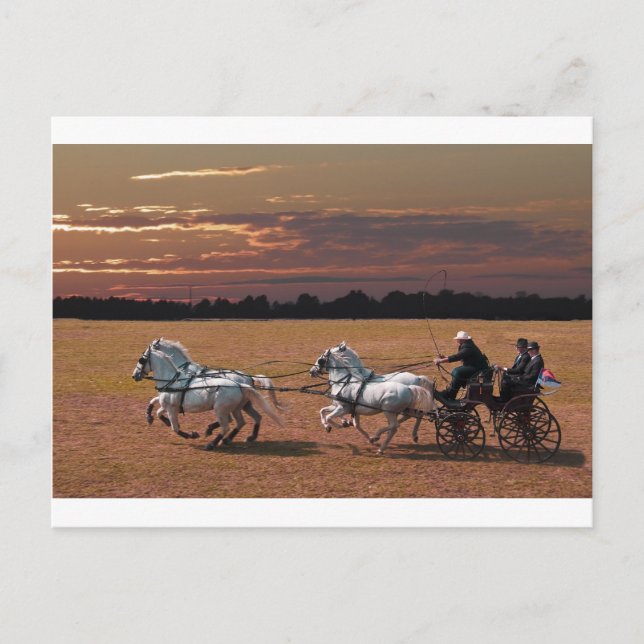 Carte Postale quatre en main (Devant)