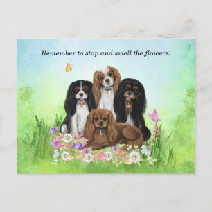 Carte Postale Quatre Espagnols Cavalier Roi Charles en Fleurs