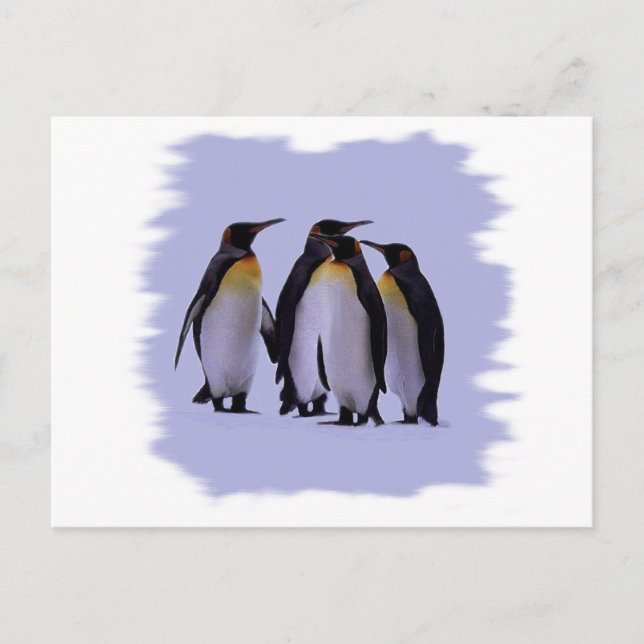 Carte Postale Quatre pingouins (Devant)