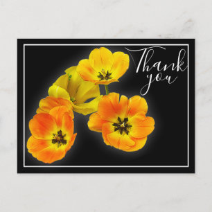 Carte Postale Quatre tulipes jaune orange sur fond noir Merci