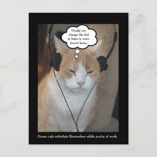 Carte Postale Que font les chats maison toute la journée ?