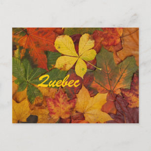 Carte postale Québécois Feuilles Automnes
