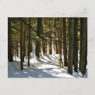 Carte Postale Quechee, VT