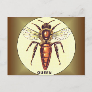 Carte Postale Queen Bee