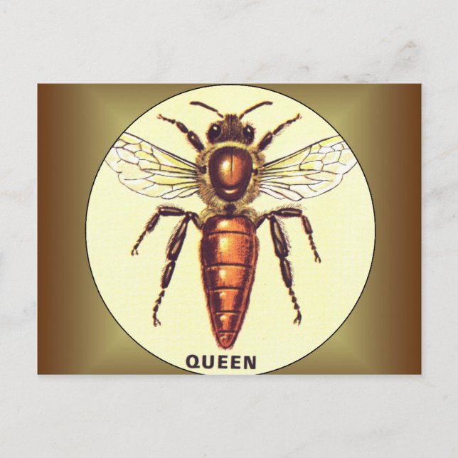 Carte Postale Queen Bee (Devant)