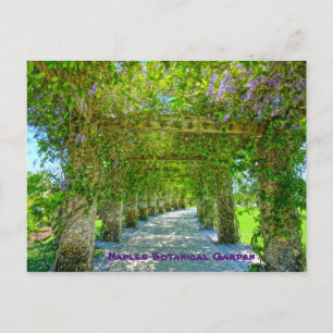 Carte Postale Queen's Wreath Naples Jardin botanique, Floride