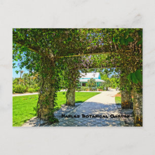 Carte Postale Queen's Wreath Naples Jardin botanique, Floride