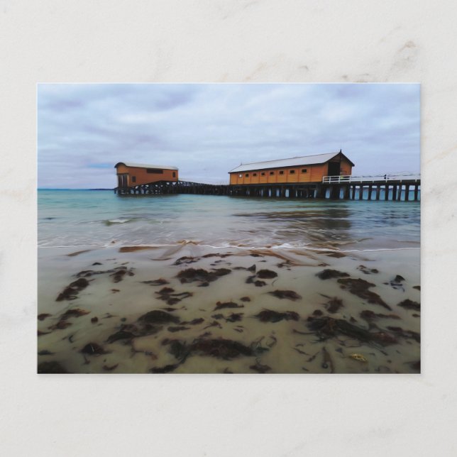 Carte postale Queenscliff Dreaming (Devant)