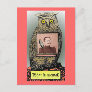 Carte Postale "Quel est normal ? "Carte postale