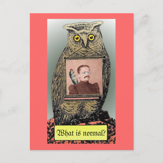 Carte Postale "Quel est normal ? "Carte postale (Devant)