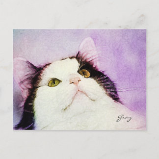 Carte Postale Quelle souris ?